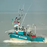 Au Centre Du Croisic Avec Vue Sur Le Port - Fr-1-306-1332